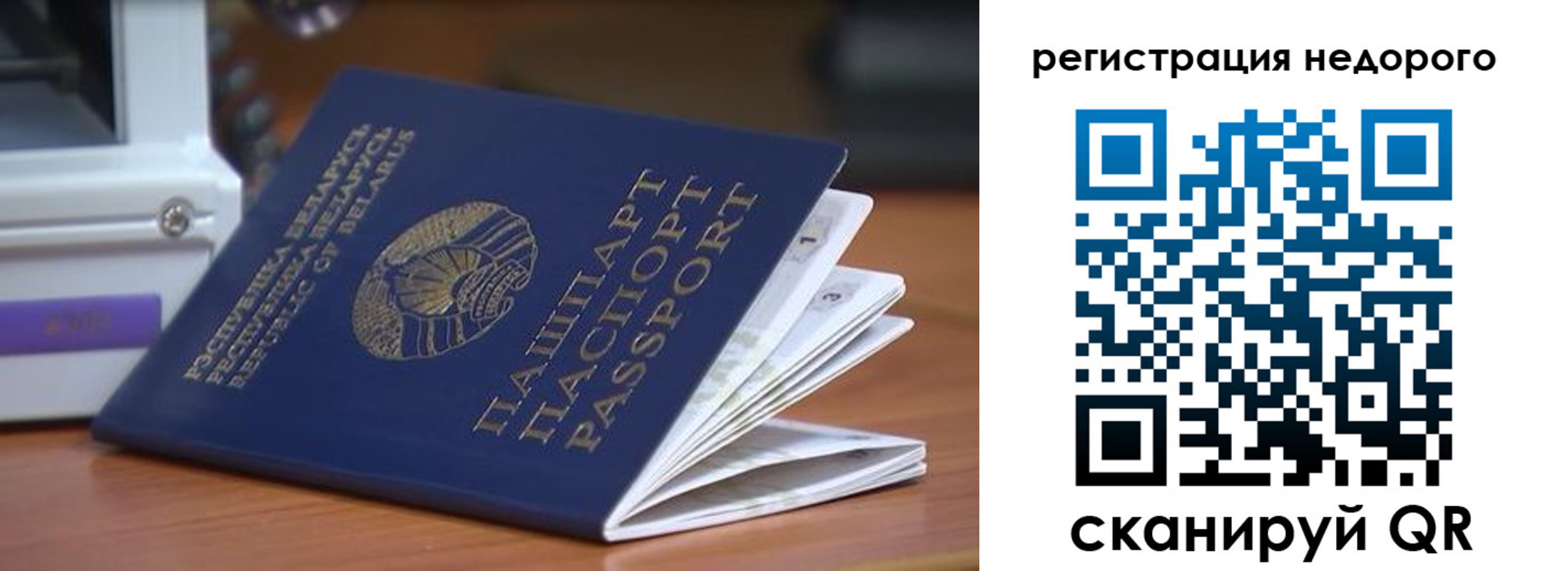 прописка иностранных граждан в Светлогорске
